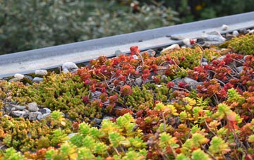 the cost of Hindon green roof installation