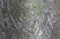 Hindon fibreglass roof work